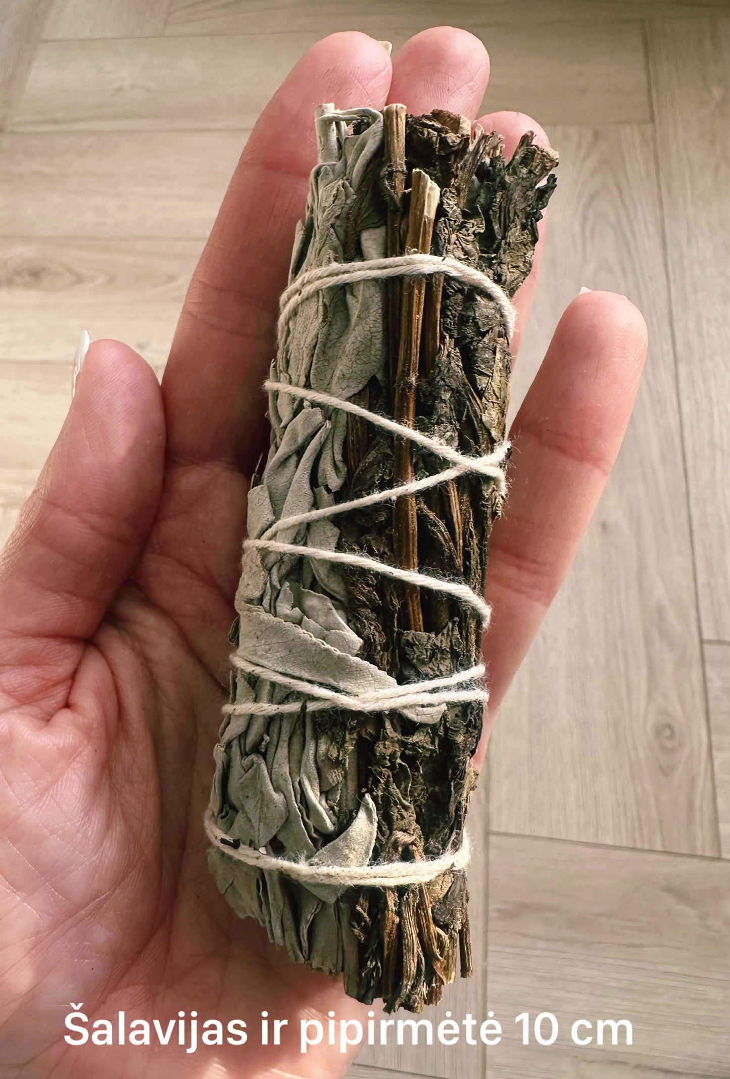 Baltasis šalavijas ir pipirmėtė 10 cm