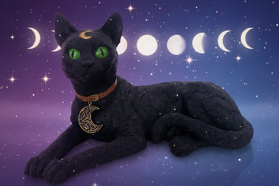 Katė – magiškiausias gyvūnas žemėje