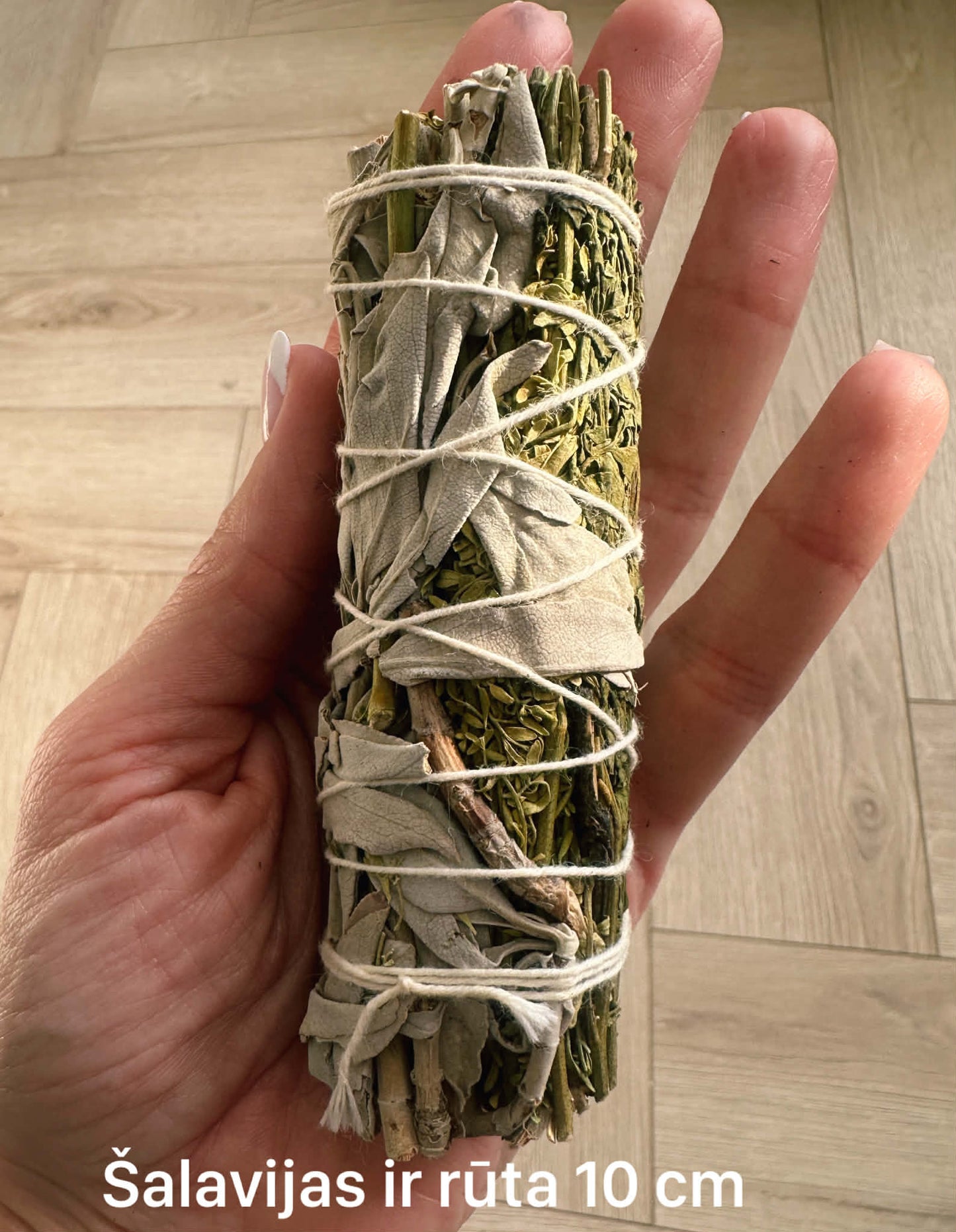Baltasis šalavijas ir rūta 10 cm