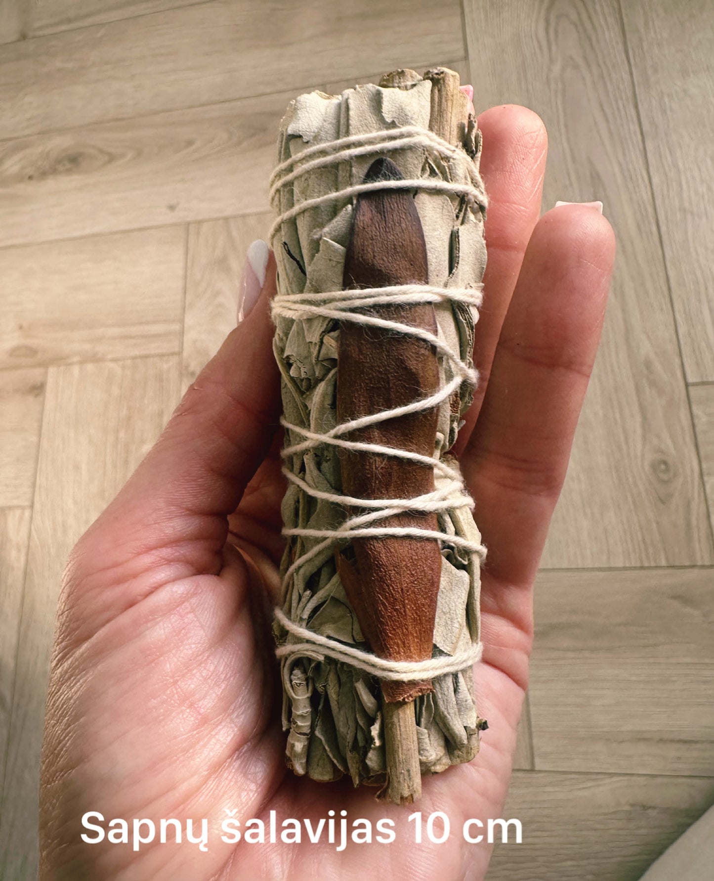 Sapnų šalavijas 10cm