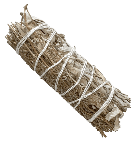 Baltasis šalavijas ir čiobrelis 10 cm