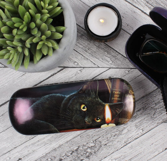 Akinių dėklas “Raganų valanda”