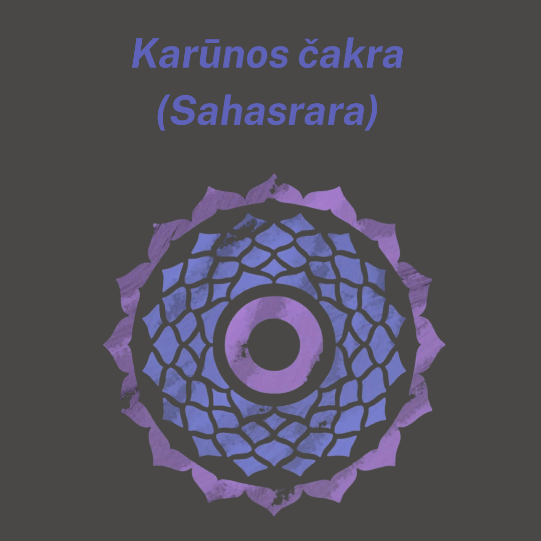 Medžio agato ir mėnulio akmens apyrankė 8 mm