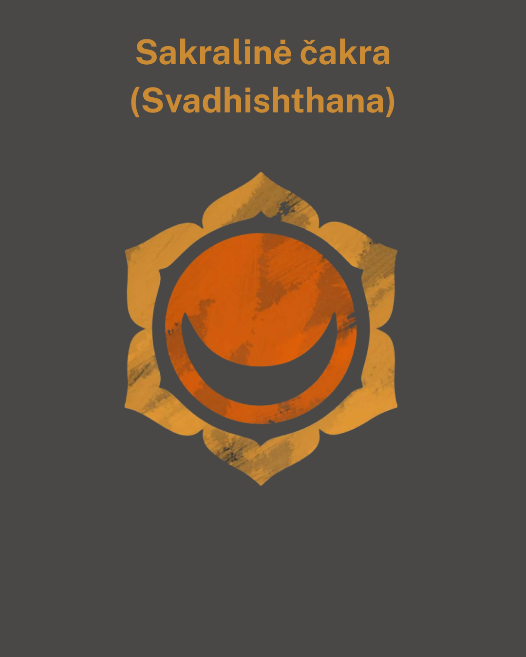 Medžio agato ir mėnulio akmens apyrankė 8 mm