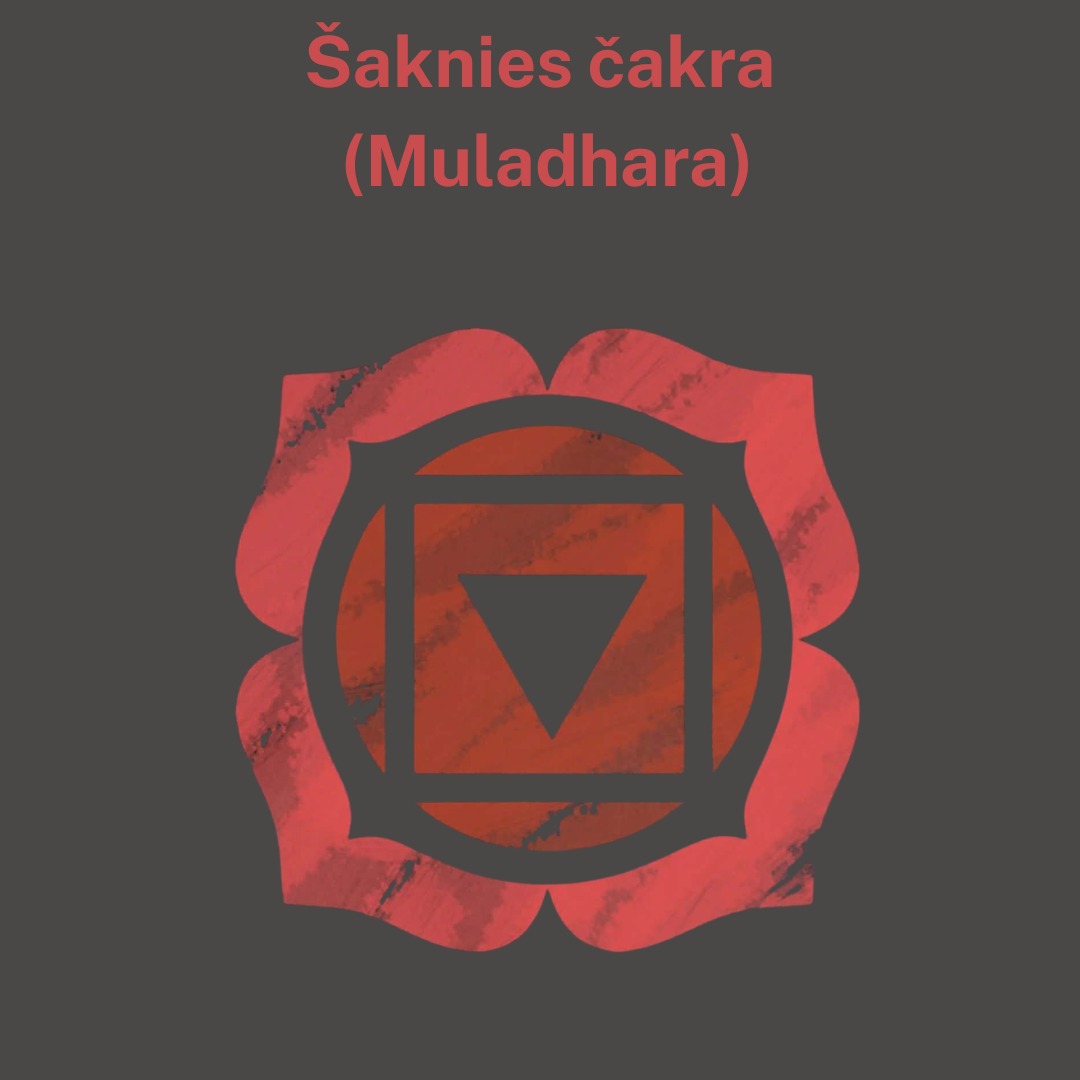 Dūminio kvarco apyrankė