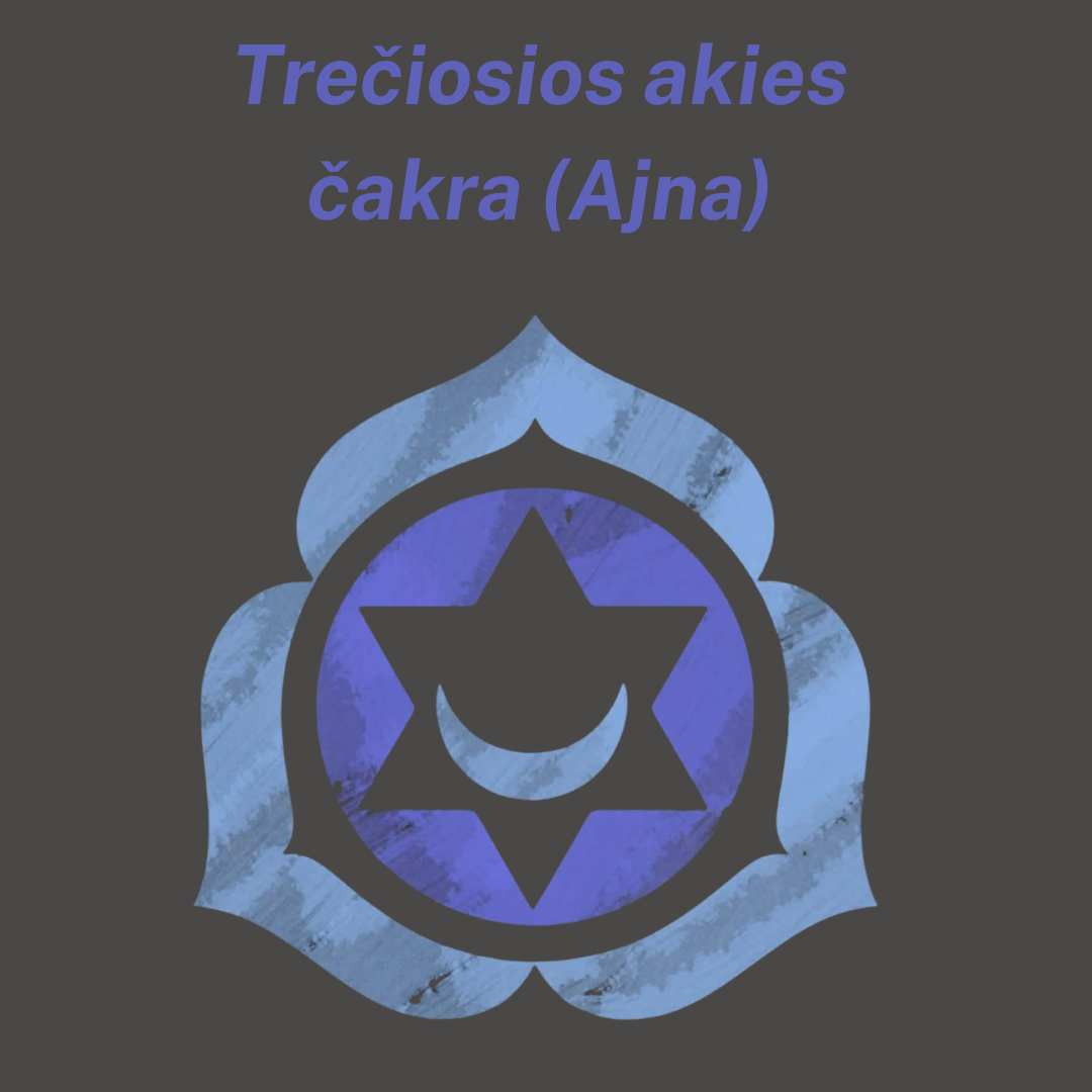 Medžio agato ir mėnulio akmens apyrankė 8 mm